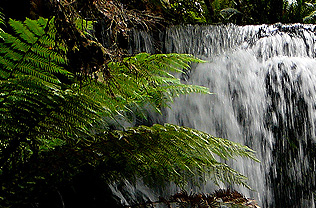 Tasmania, Australia